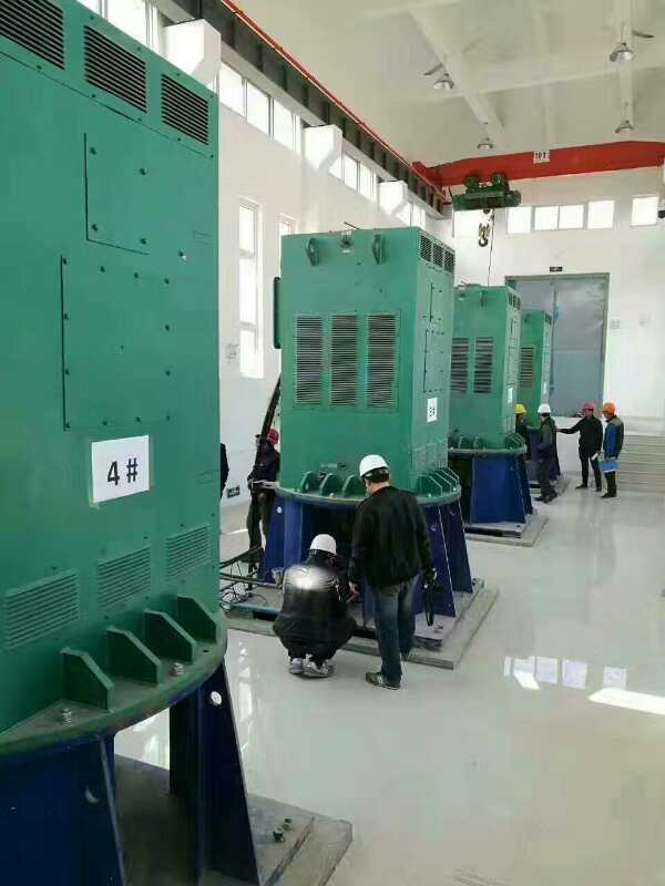 通江某污水处理厂使用我厂的立式高压电机安装现场